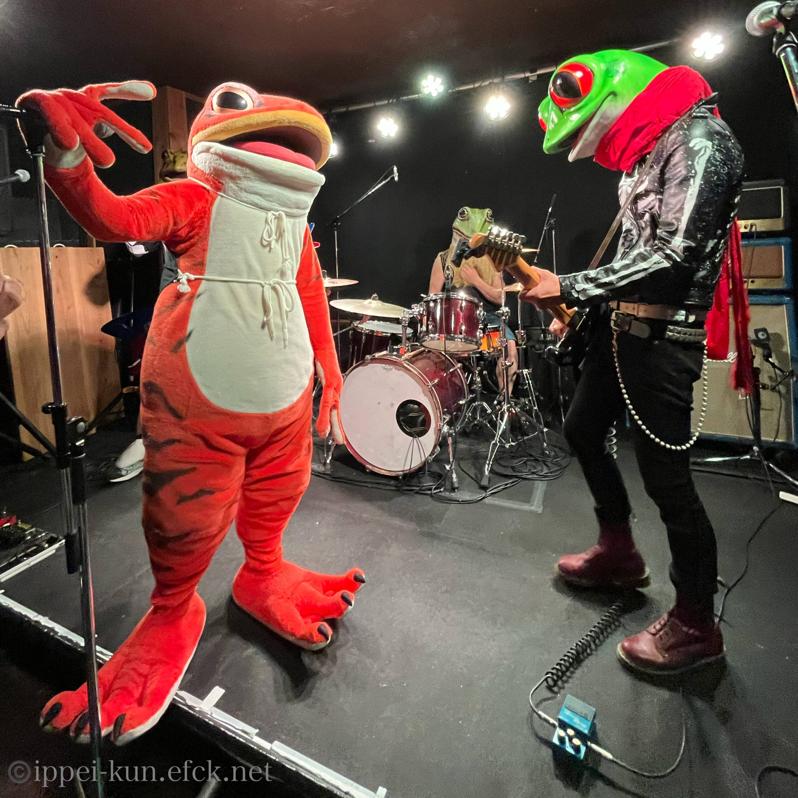 パンク×落語×手話 37thLIVE観察日記 #ゴロゴロゴロンズ #一平くん