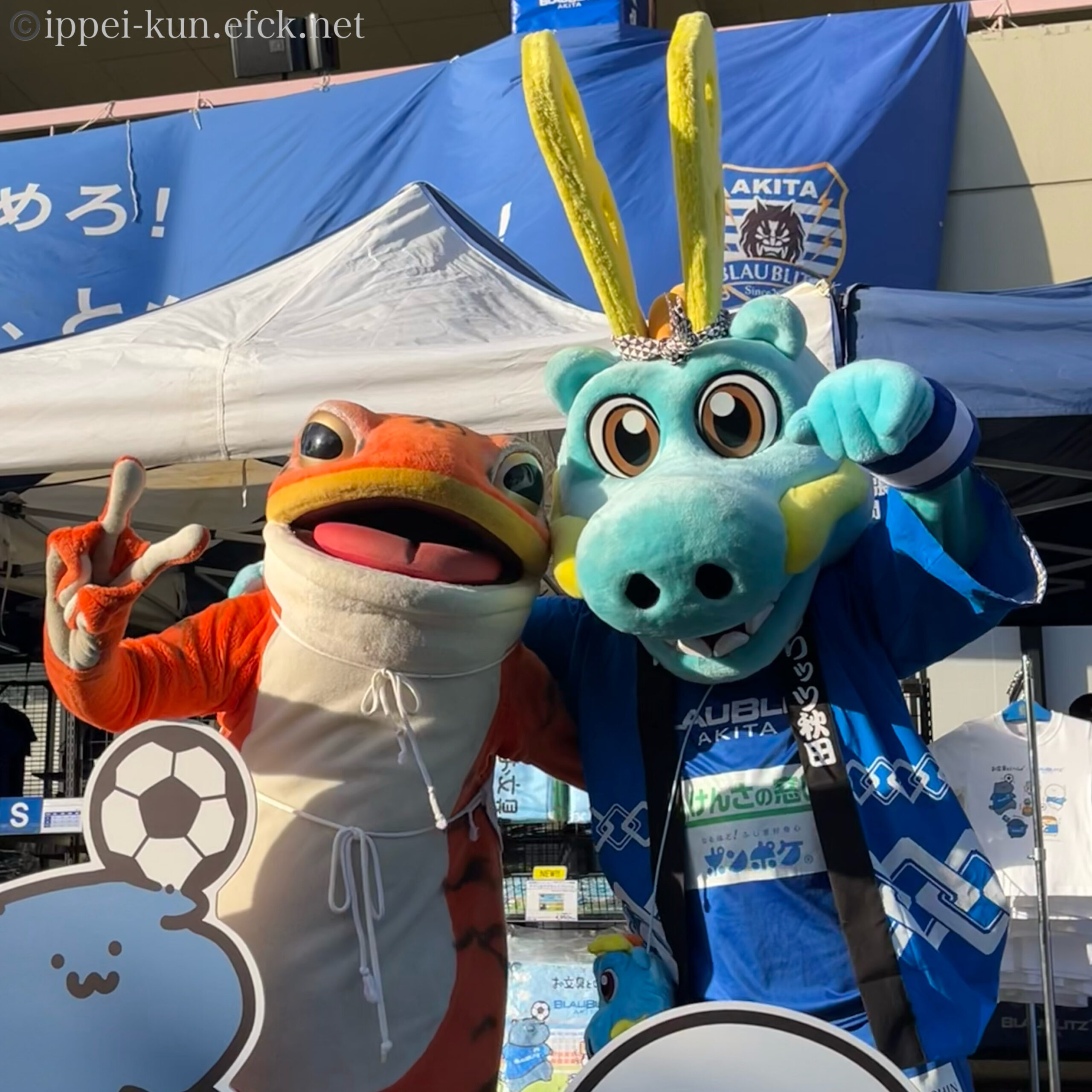 こまちでビューン！ #一平くん のスタジアム探訪 ソユースタジアム編 #ブラウブリッツ秋田