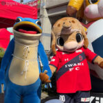 #一平くん のスタジアム探訪「ハワイアンズスタジアムいわき編」 #いわきFC #ハマドリ