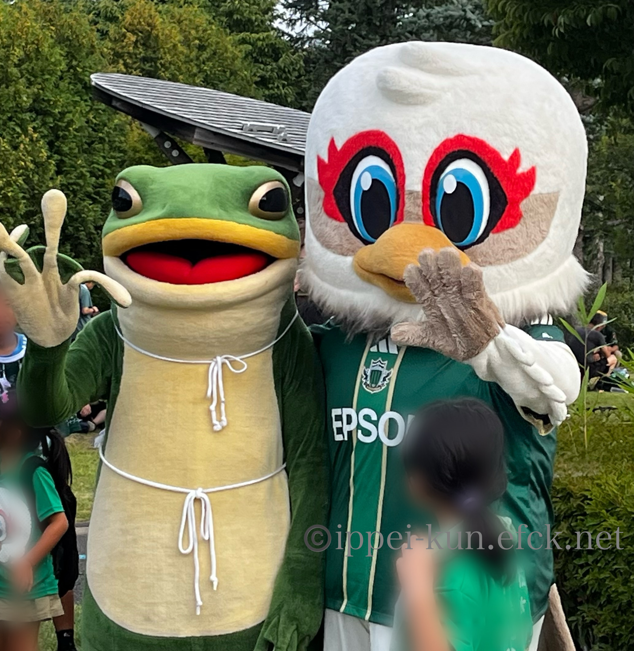 秋春制はじめました in山雅 #一平くん  #yamaga